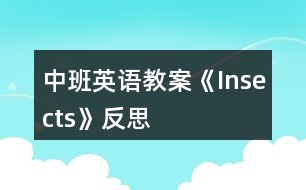 中班英語教案《Insects》反思