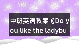 中班英語教案《Do you like the ladybug》