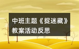 中班主題《捉迷藏》教案活動反思