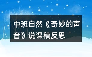 中班自然《奇妙的聲音》說課稿反思