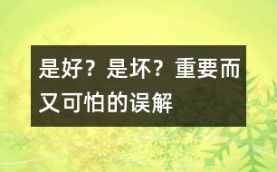 是好？是壞？——重要而又可怕的誤解