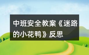 中班安全教案《迷路的小花鴨》反思