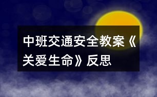 中班交通安全教案《關(guān)愛生命》反思