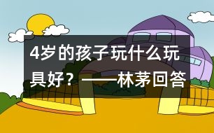 4歲的孩子玩什么玩具好？――林茅回答