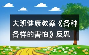 大班健康教案《各種各樣的害怕》反思