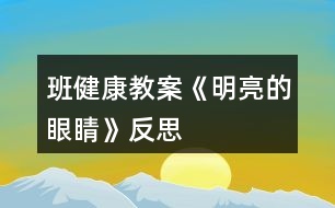 班健康教案《明亮的眼睛》反思