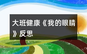 大班健康《我的眼睛》反思