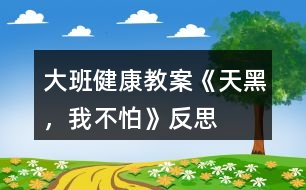 大班健康教案《天黑，我不怕》反思