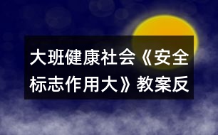 大班健康社會《安全標志作用大》教案反思