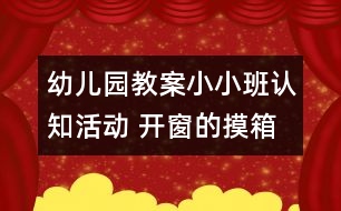 幼兒園教案小小班認知活動 開窗的摸箱