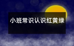 小班常識：認(rèn)識紅、黃、綠