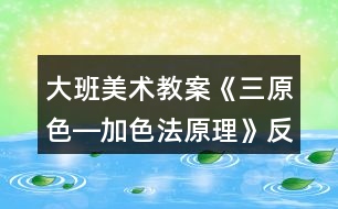 大班美術(shù)教案《三原色―加色法原理》反思