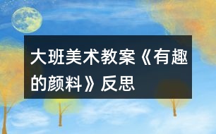 大班美術教案《有趣的顏料》反思