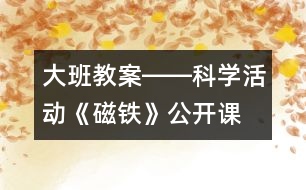 大班教案――科學活動《磁鐵》（公開課）