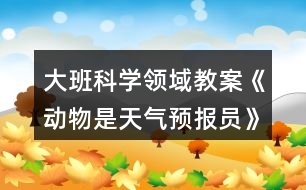 大班科學(xué)領(lǐng)域教案《動(dòng)物是天氣預(yù)報(bào)員》反思