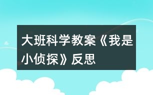 大班科學(xué)教案《我是小偵探》反思