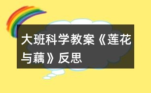 大班科學(xué)教案《蓮花與藕》反思