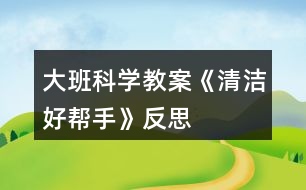 大班科學(xué)教案《清潔好幫手》反思