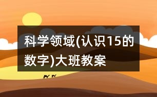 科學(xué)領(lǐng)域(認(rèn)識(shí)1——5的數(shù)字)大班教案