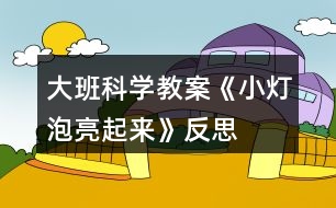 大班科學教案《小燈泡亮起來》反思