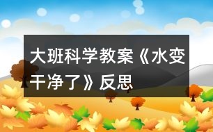 大班科學(xué)教案《水變干凈了》反思