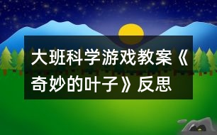 大班科學游戲教案《奇妙的葉子》反思