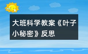 大班科學教案《葉子小秘密》反思