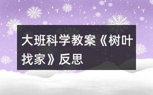 大班科學教案《樹葉找家》反思