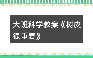 大班科學教案《樹皮很重要》