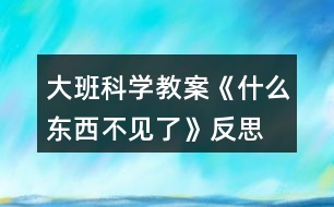 大班科學教案《什么東西不見了》反思