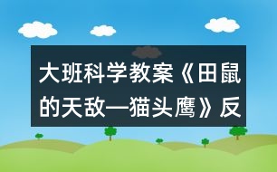 大班科學(xué)教案《田鼠的天敵―貓頭鷹》反思