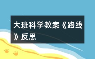 大班科學教案《路線》反思