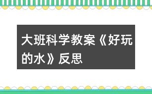 大班科學(xué)教案《好玩的水》反思