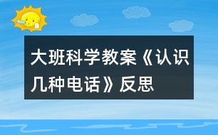 大班科學(xué)教案《認識幾種電話》反思