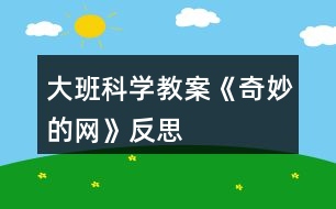 大班科學(xué)教案《奇妙的網(wǎng)》反思