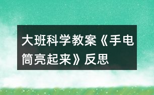 大班科學(xué)教案《手電筒亮起來》反思