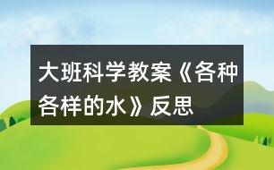 大班科學(xué)教案《各種各樣的水》反思