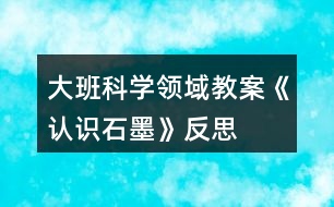 大班科學(xué)領(lǐng)域教案《認(rèn)識石墨》反思