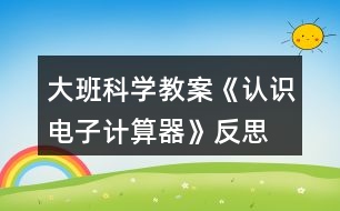 大班科學教案《認識電子計算器》反思