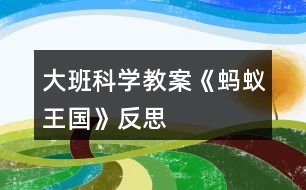 大班科學(xué)教案《螞蟻王國》反思