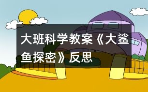 大班科學(xué)教案《大鯊魚探密》反思