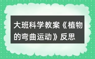 大班科學教案《植物的彎曲運動》反思