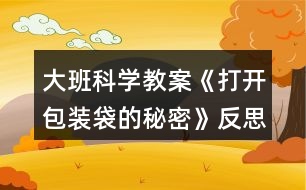 大班科學教案《打開包裝袋的秘密》反思