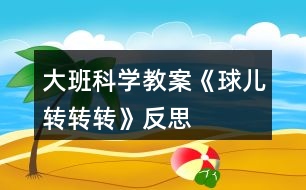 大班科學教案《球兒轉(zhuǎn)轉(zhuǎn)轉(zhuǎn)》反思