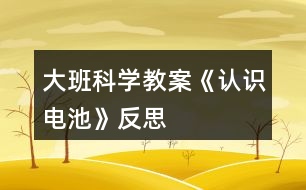 大班科學(xué)教案《認(rèn)識電池》反思