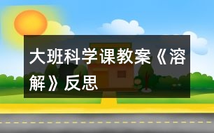 大班科學課教案《溶解》反思