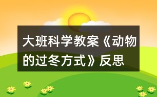 大班科學(xué)教案《動物的過冬方式》反思