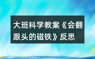 大班科學(xué)教案《會翻跟頭的磁鐵》反思