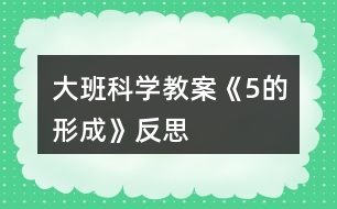 大班科學教案《5的形成》反思