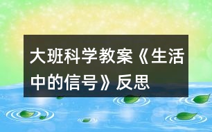 大班科學(xué)教案《生活中的信號(hào)》反思